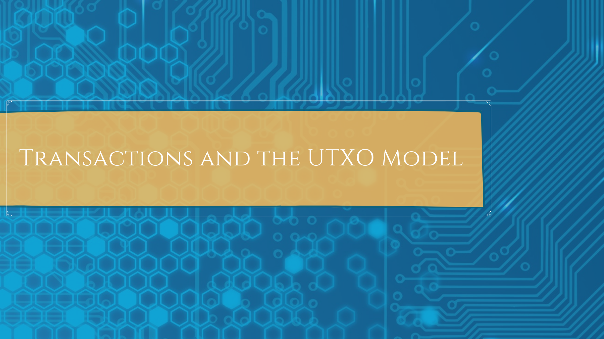 Transactions and the UTXO Model