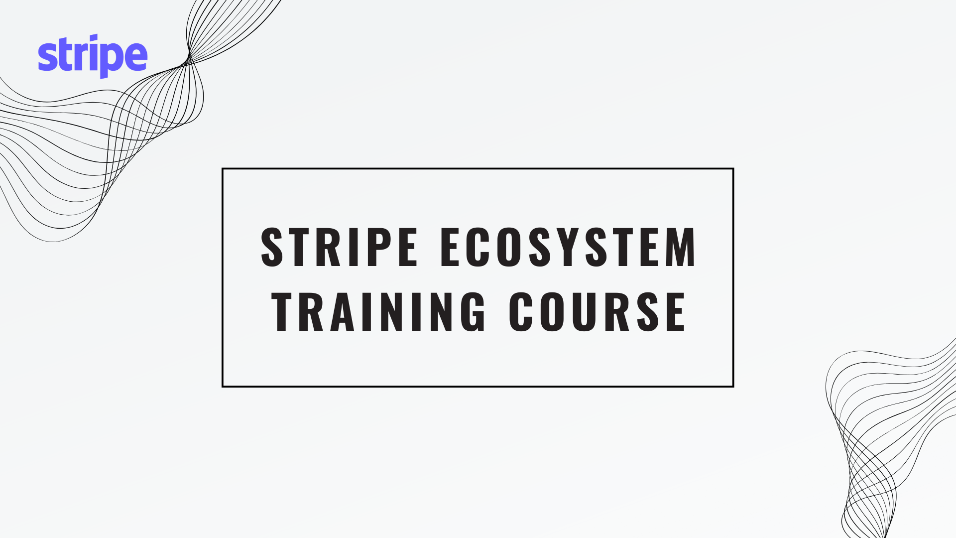 Stripe Ecosystem Training Course	
